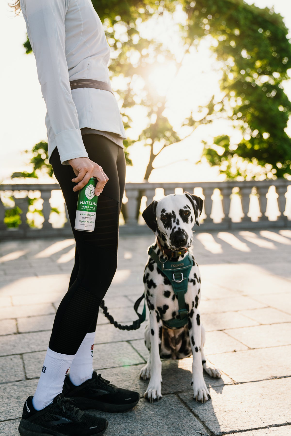 how-much-yerba-mate-to-drink-daily-mate-na